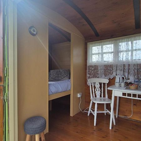 Coast Path Camping Saint Ishmaels  Esterno foto