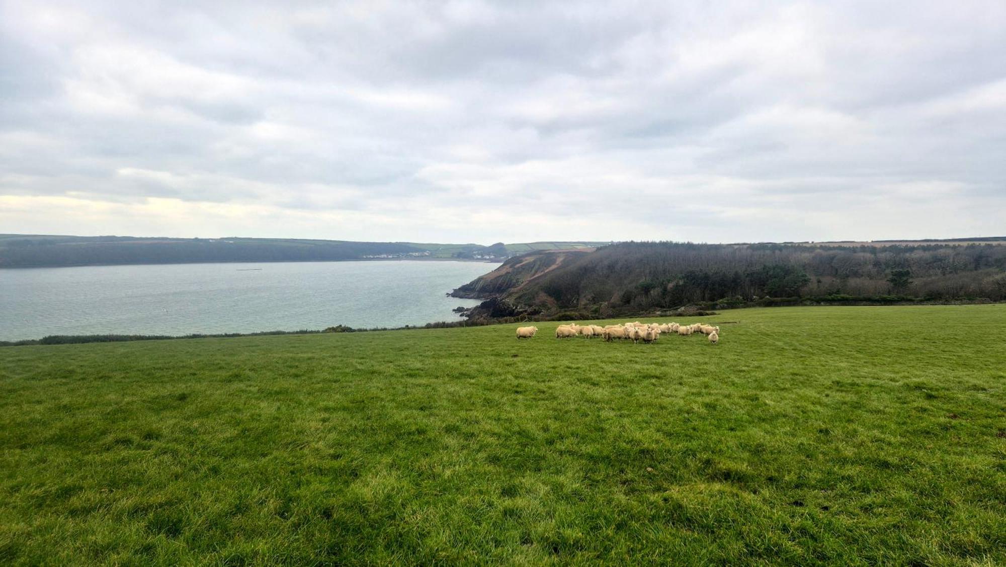 Coast Path Camping Saint Ishmaels  Esterno foto