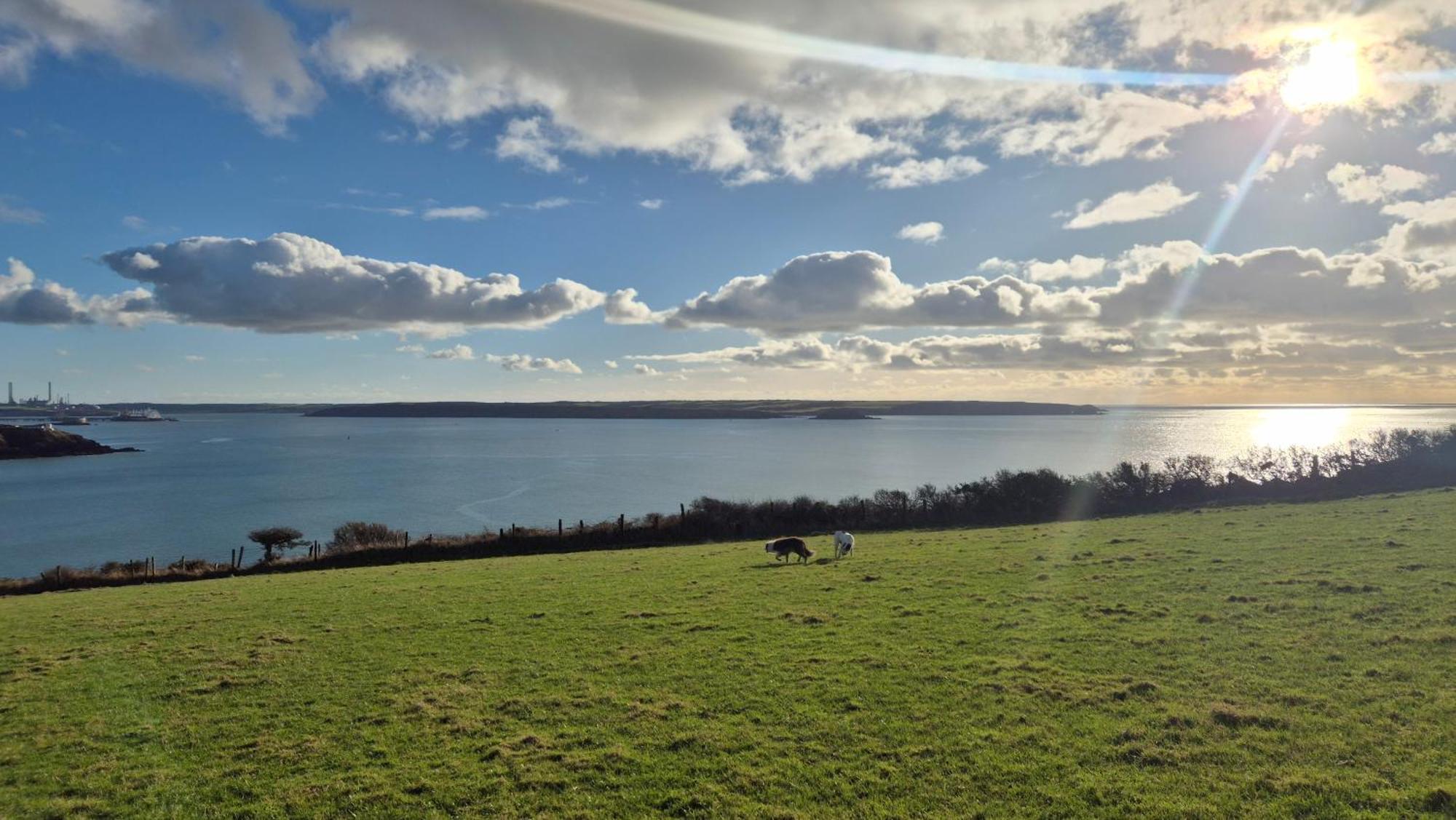 Coast Path Camping Saint Ishmaels  Esterno foto
